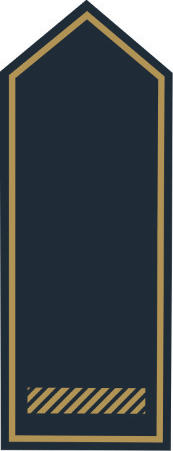 Schulterklappen BB Brandreferendar