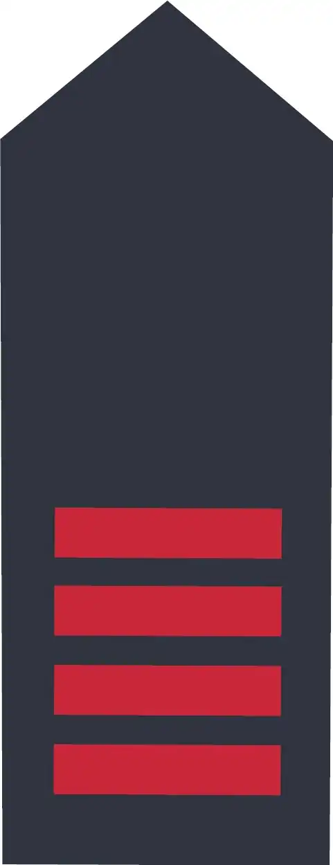 Schulterklappen BB Berufsfeuerwehr Hauptbrandmeister (E 9a)