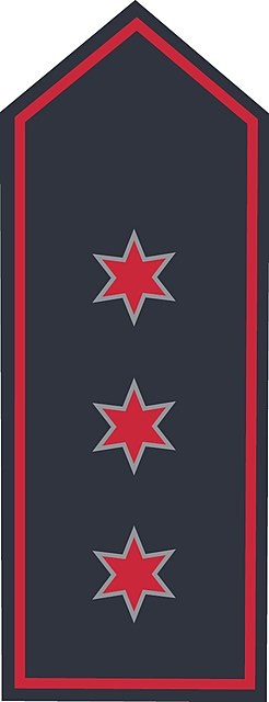 Schulterklappen BB Hauptlöschmeister