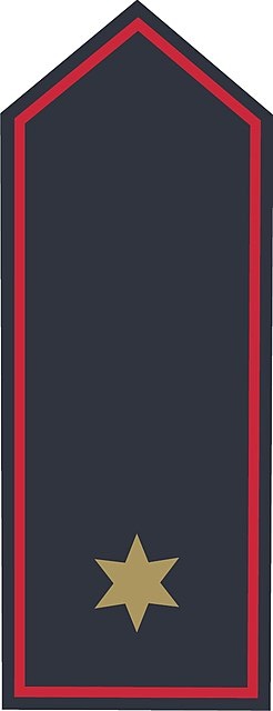 Schulterklappen BB Brandinspektorin / Brandinspektor