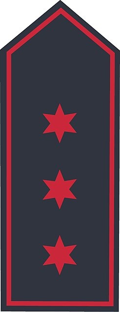 Schulterklappen BB Hauptfeuerwehrmann