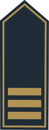 Schulterklappen BB Branddirektor (A 15)