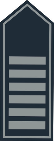 Schulterklappen BB Brandoberamtsrat (A 14 g D)