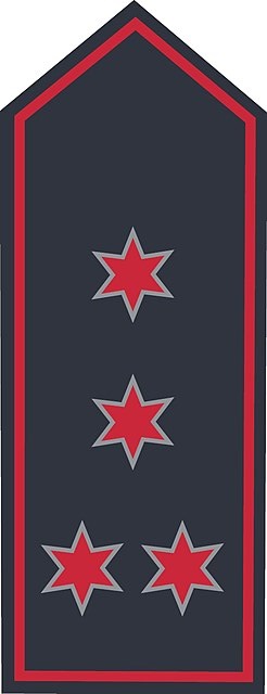 Schulterklappen BB 1. Hauptlöschmeister