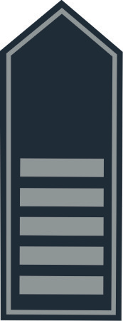 Schulterklappen BB Brandoberamtsrat (A 13 g D)