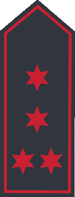 Schulterklappen BB 1. Hauptfeuerwehrmann