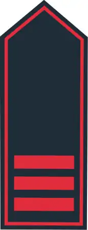 Aufschiebeschlaufen BB Berufsfeuerwehr Oberbrandmeister (A 8)
