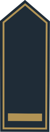 Schulterklappen BB Brandrat (A 13)